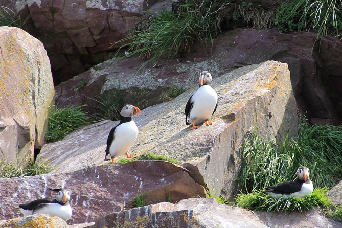 Inverness: John O'Groats, Dunrobin Castle & the Far North - Wick is your main chance for lunch
