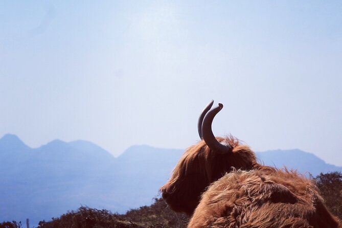 Isle of Skye and Fairy Pools Day Tour leaving from Portree - Key Points to Know Before You Book