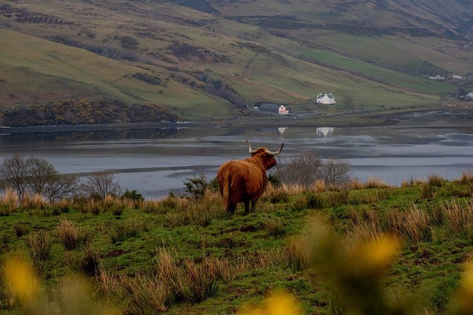 Isle of Skye and the Fairy Pools Tour - Why a private Skye day can be worth the cost