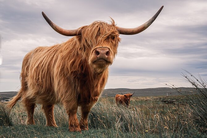 Isle of Skye Day Tour from Fort William - Why this private Skye trip works