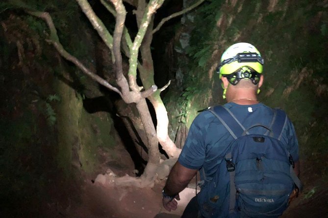 Join the Dark Side of Magical Nature - Walking into the forest with a head torch