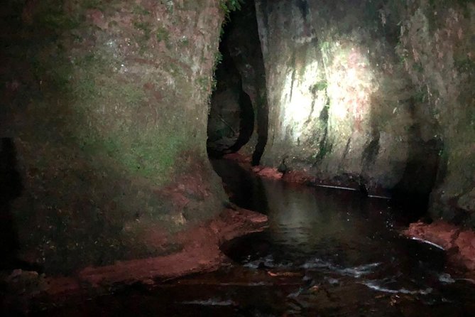 Join the Dark Side of Magical Nature - A guide-led visit in a group of eight