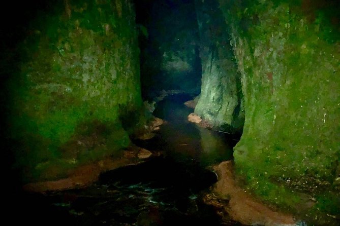 Join the Dark Side of Magical Nature - Meeting in Glasgow at 9:00 p.m.