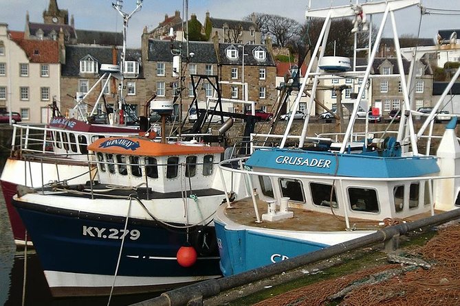 Kingdom of Fife & St Andrews Full-Day Guided Private Tour in a Premium Minivan - St Andrews Castle and its dramatic ruins