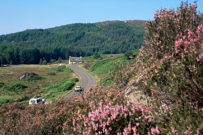 Loch Lomond National Park & Stirling Castle Full Day Tour - Key points at a glance