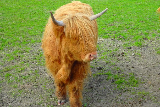 Loch Ness & Culloden Battlefield Private Tour from Inverness - Culloden Battlefield: the day’s most powerful stop