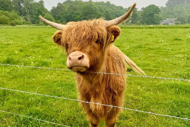 Loch Ness, Culloden, Clava and whisky/gin tour from Inverness. - Loch Ness and Drumnadrochit: monster lore with a short stop