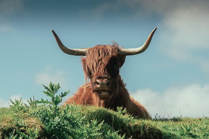 Loch Ness, Glen Coe & The Highlands Day Tour from Edinburgh - Glencoe: short stop, major scenery