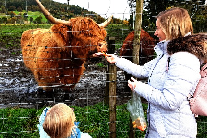 Loch Ness, Glencoe and the Highlands Private Day Tour - Why this private Highlands trip works