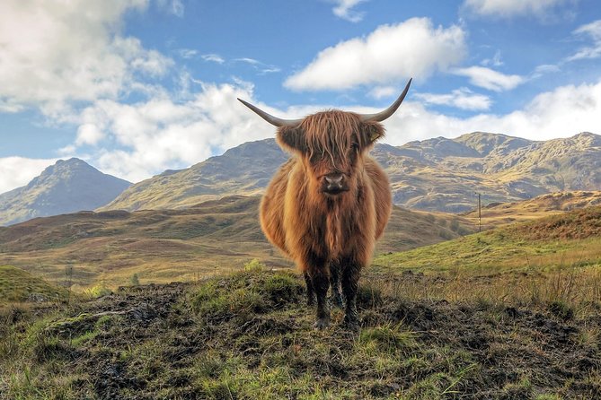 Loch Ness, Glencoe & the Highlands Guided Day Tour from Edinburgh - One hour at Loch Ness