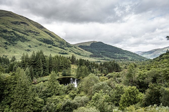 Loch Ness Private Day Tour up to 8 passengers - Highland coos: a quick, cheerful beginning