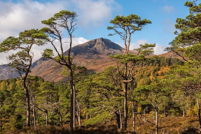 Meandering Through The Highlands of Scotland (West) - What makes this Highland day worthwhile
