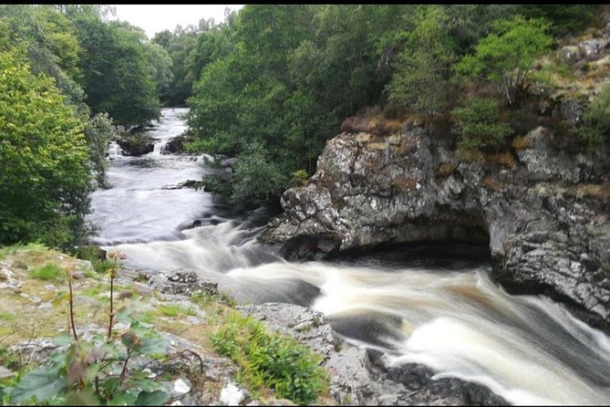 North Highland Tour including Dunrobin Castle and much more From Inverness City - Dunrobin Castle, gardens, and falconry