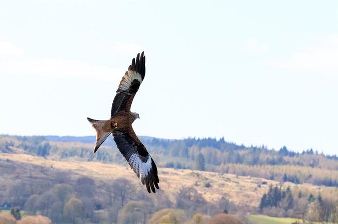 North Highlands from Inverness - Dornoch: cathedral, shops, and a village walk