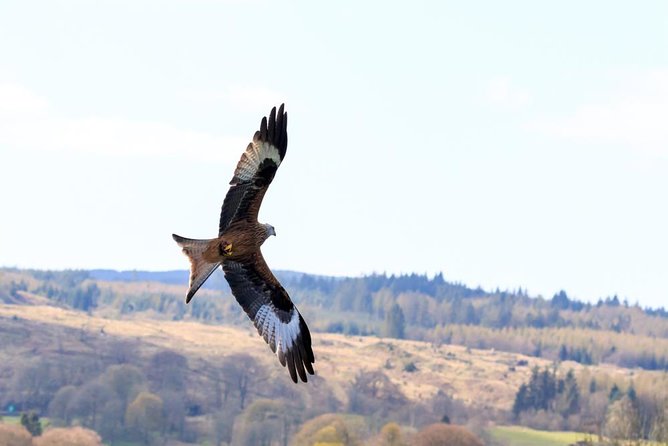 North Highlands from Inverness - The price: costly, but easier to justify for three