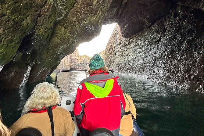 Northern Islands RIB Tour - Rabbit Islands and close coastal views
