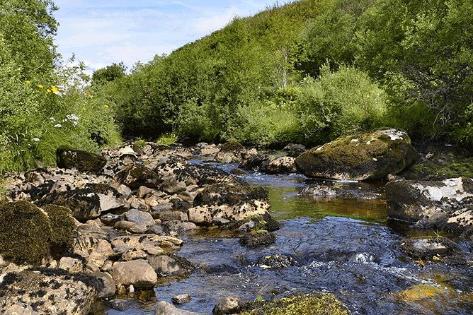 Oban and the West Highlands Day Trip from Glasgow - The Guide Can Make or Break the Drive