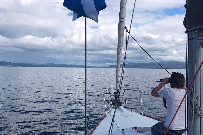 One Day Private Sailing from Oban Marina with Lunch - Sailing into the Firth of Lorne
