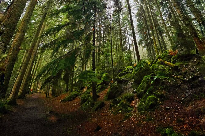 Perthshire Highlands: Private Land Rover Tour - Blair Athol whisky or Blair Castle