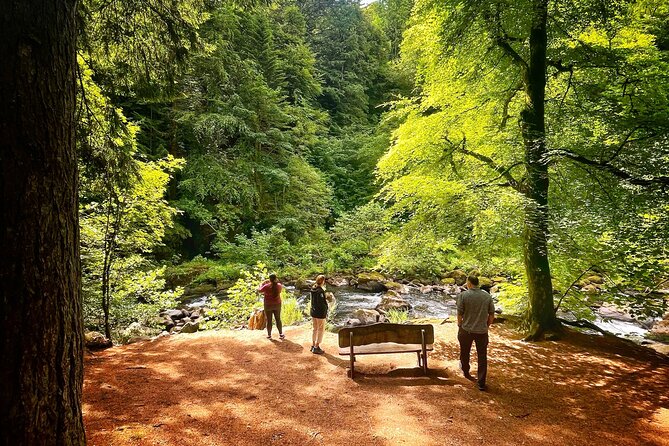 Perthshire Highlands: Private Land Rover Tour - The Hermitage and Black Linn Falls