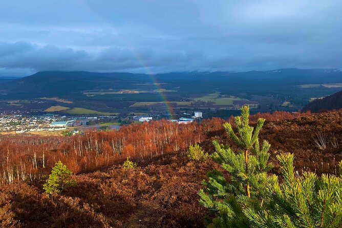Private Cairngorm National Park tour - Five details that shape the experience