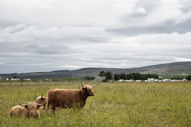 Private Full-Day Tour to the Scottish Highlands and Loch Ness - Fort William and the Road North