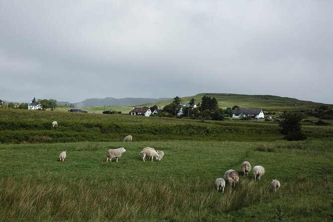 Private Full-Day Tour to the Scottish Highlands and Loch Ness - Callander, the First Taste of Highland Country