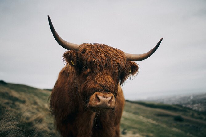 Private Guided Day Tour in Scottish Highlands - Doune Castle brings film fame and medieval Scotland together