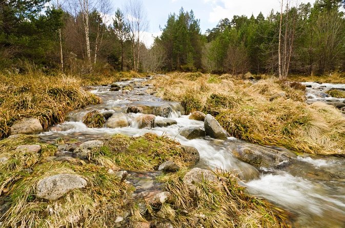 Private Guided Mountain Walking Experience in the Cairngorms - Key points to know before booking