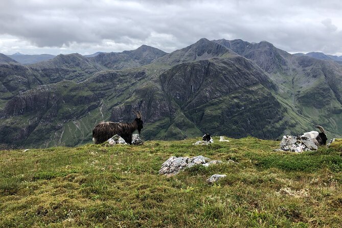 Private Guided Mountain Walking Experience in the Cairngorms - Guides who shape the experience