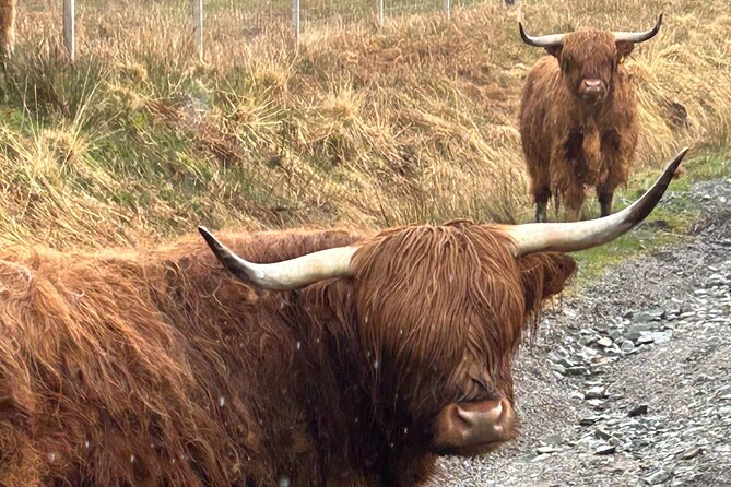 Private Harry Potter, Glenfinnan Viaduct, Highland Edinburgh Tour - Rannoch Moor and Loch Tulla