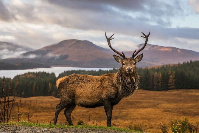 Private Isle of Skye Tour - Key points to know before booking