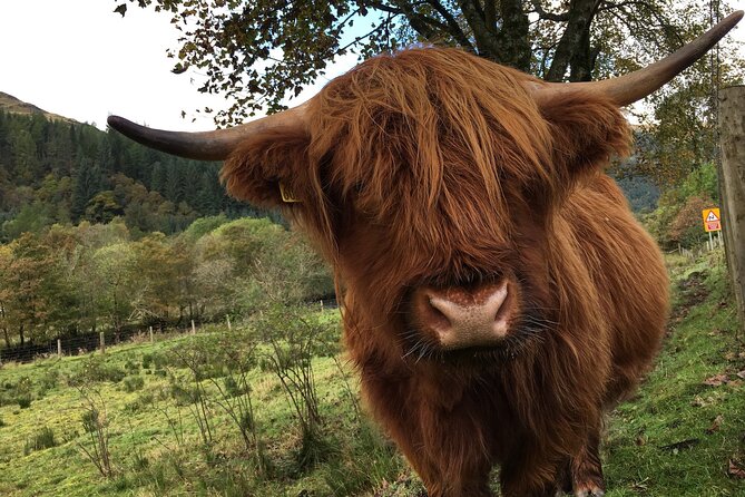 Private Loch Ness & Glencoe Day Trip from Edinburgh - Loch Lubnaig provides a gentle start