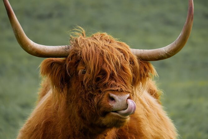 Private Luxury Mini Highlands Tour From Edinburgh - Braveheart - Loch Lubnaig and Loch Katrine