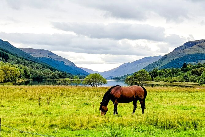 Private Luxury Tour of The Highlands and Loch Ness From Glasgow - Fort William and a look toward Ben Nevis