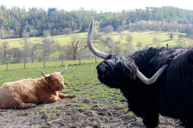 Private Luxury Tour of The Highlands and Loch Ness From Glasgow - A short Highland Perthshire pause in Pitlochry