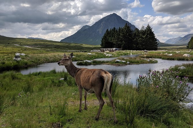 Private One Day Highlands Tour of Scotland - Balquhidder and the West Highlands