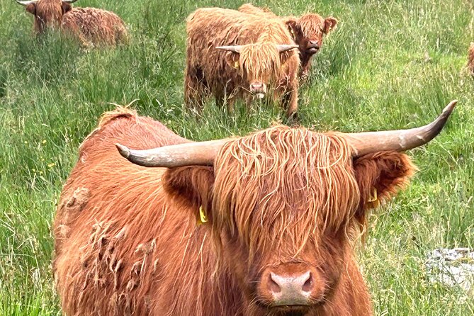 Private Tour of Loch Ness, Glencoe and Highlands from Edinburgh - What the private format is really worth
