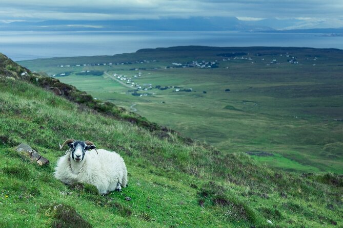 Private Tour of Loch Ness, Glencoe and Highlands from Glasgow - Loch Lomond and the final return to Glasgow