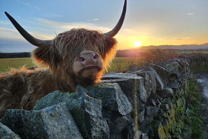 Private Tour of the Scottish Highlands from Edinburgh - Why a private Highlands day makes sense