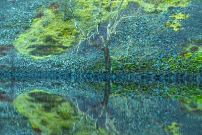 Private Tour of the Scottish Highlands from Edinburgh