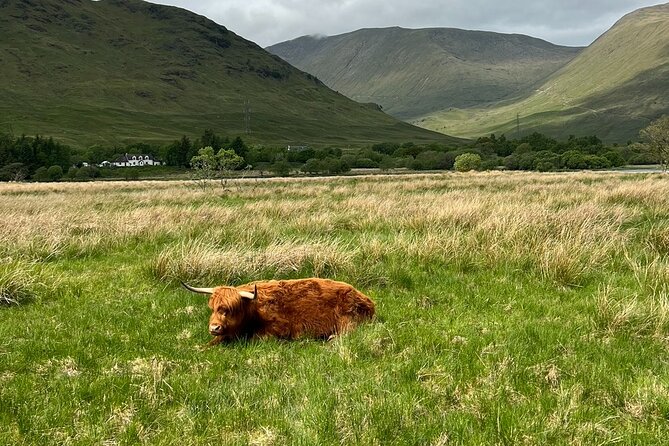 Private Tour to the Stunning Scottish Highlands & Glencoe - Is $1,091.03 good value for four people?