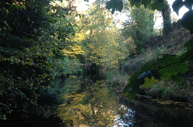Private Walk: Country in the City - Stockbridge, Gardens, and the People Behind the City