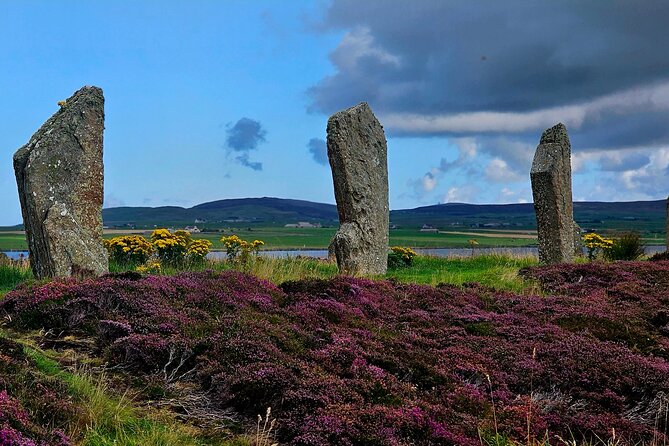 Scapa Tours - Standing Stones of Stenness and Barnhouse