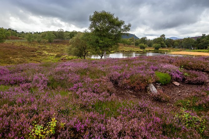 Scottish Highland Games Day Trip from Edinburgh - Bridge of Allan on Sunday, August 3