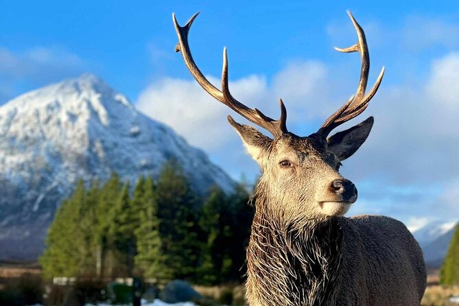 Scottish Highlands, Loch Ness and Glencoe Day Trip from Edinburgh - Food, toilets, and the reality of a long coach day