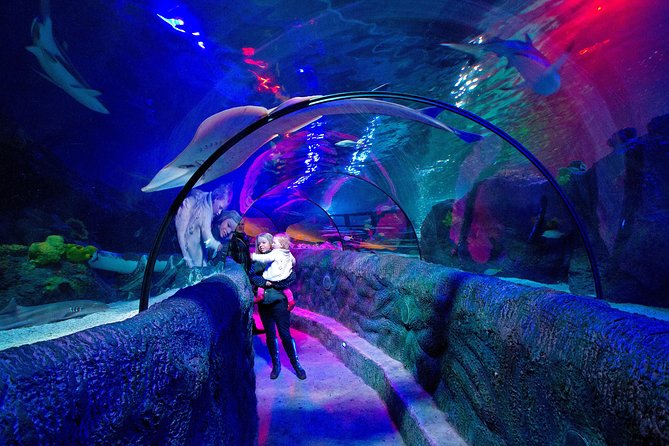 SEA LIFE Loch Lomond General Admission Ticket - The Ocean Tank and the 13:30 feeding