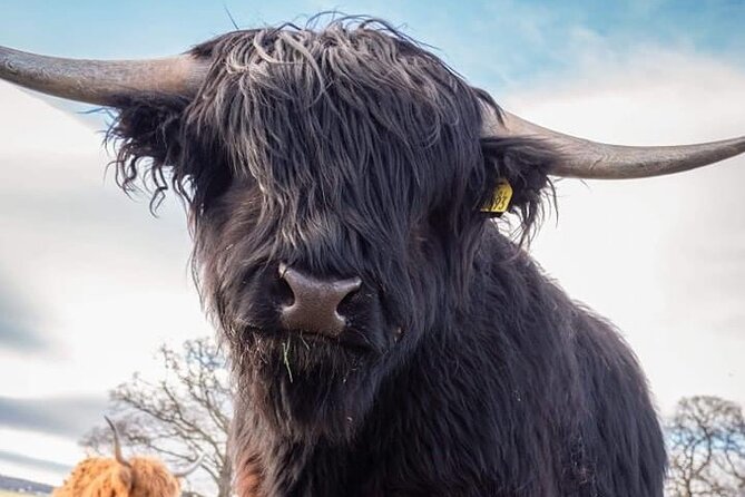 Secret Loch Ness, Inverness Castle visit, Culloden, Clava Cairns - A big Highland day from Invergordon