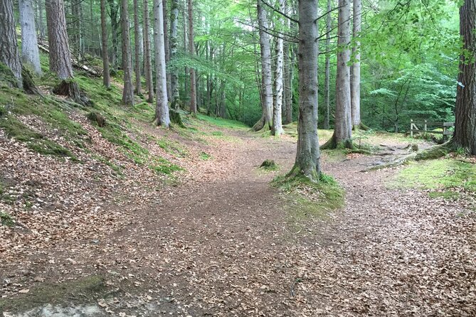 Secret Loch Ness with Cawdor Castle and Clava Cairns - What this Invergordon Highland tour really covers