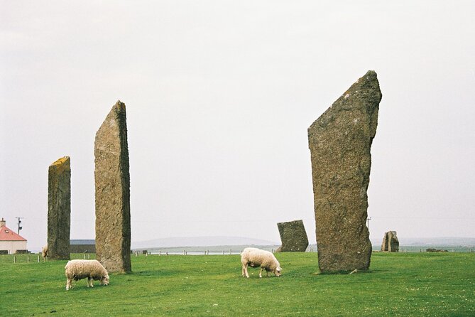Shore Excursion Kirkwall Small Group Highlights of Orkney - The Italian Chapel and a moving wartime story